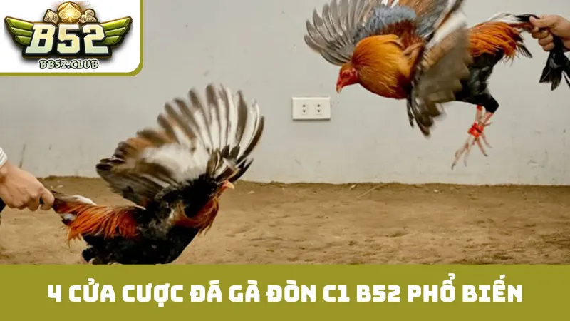 4 cửa cược đá gà đòn C1 B52 phổ biến