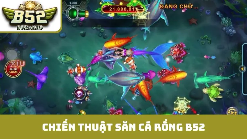 Chiến thuật cơ bản cho xạ thủ bắt đầu săn cá rồng B52