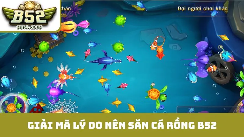 Giải mã lý do nên săn cá rồng B52