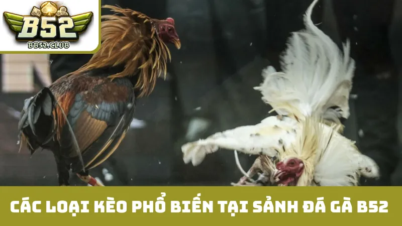 Các loại kèo phổ biến tại sảnh đá gà B52