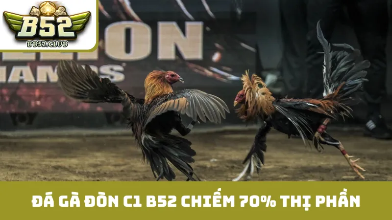 3 lợi thế giúp đá gà đòn C1 B52 chiếm 70% thị phần