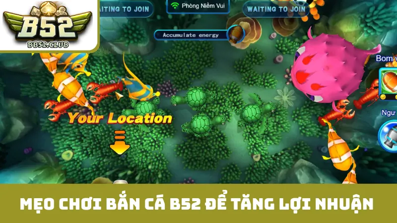 Mẹo chơi bắn cá B52 để tăng lợi nhuận